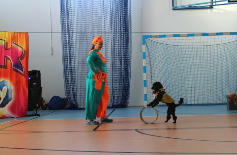 Cyrk "SZOK" w naszej szkole