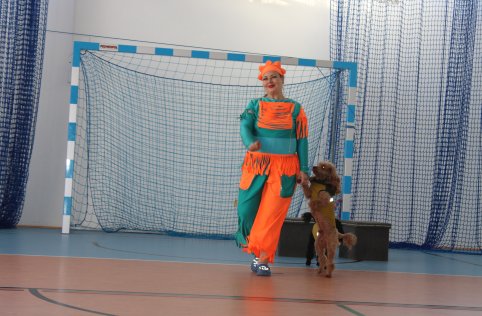 Cyrk "SZOK" w naszej szkole