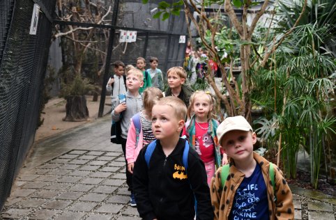 Przedszkolaki zwiedzają Zamość