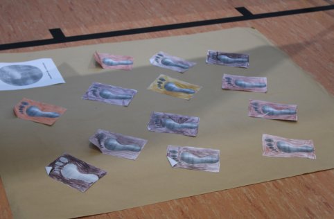 Udział w projekcie Fundacji BOŚ